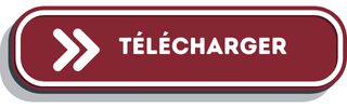 Bouton Télécharger